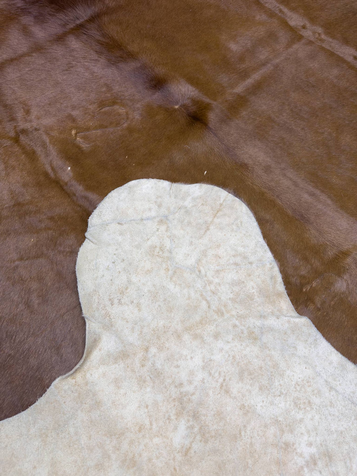 Cow Skin - 7 x 7 ft