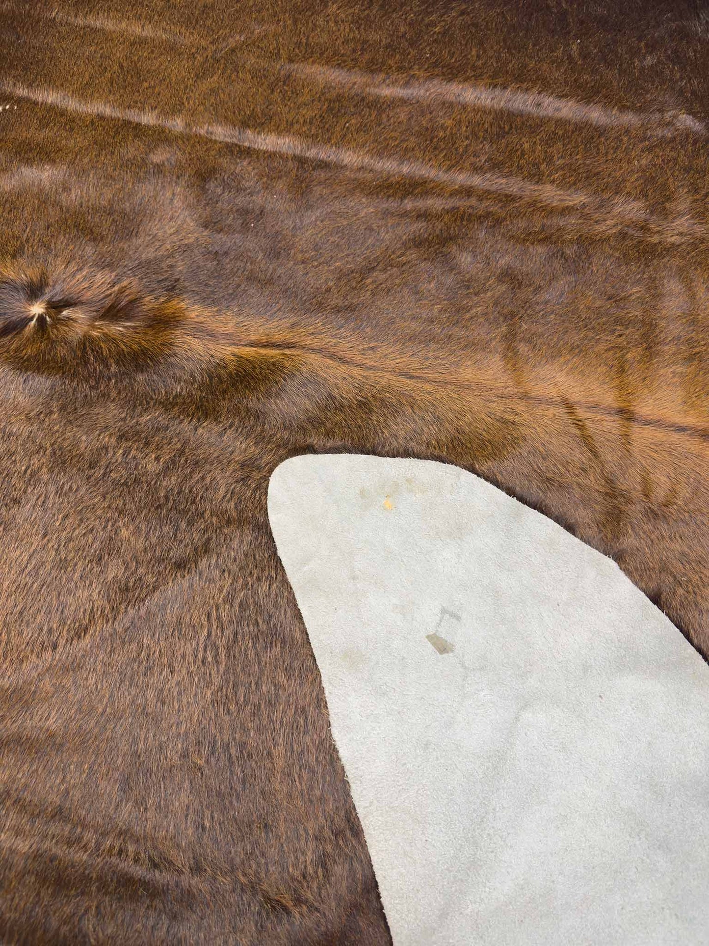 Cow Skin - 7 x 7 ft