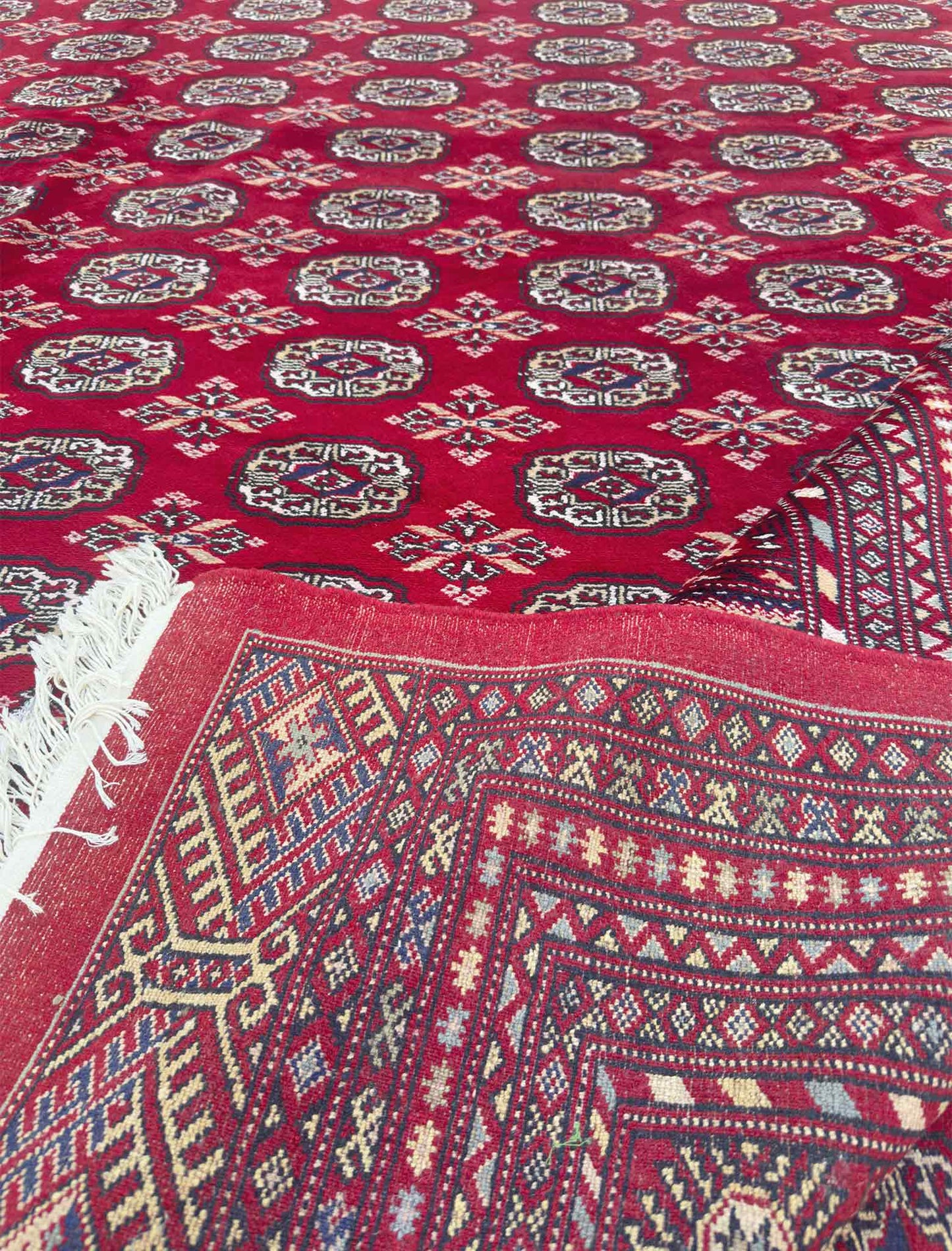 Pakistan Mori Rug - 10 x 14 ft