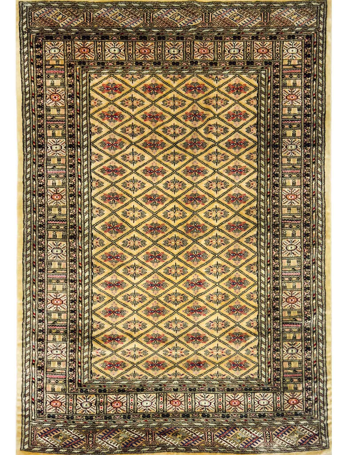 Chirri-Jaal  Rug - 6 x 4 ft