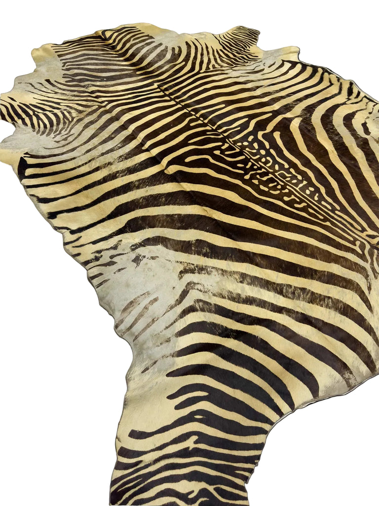 Zebra Skin - 6 x 6 ft