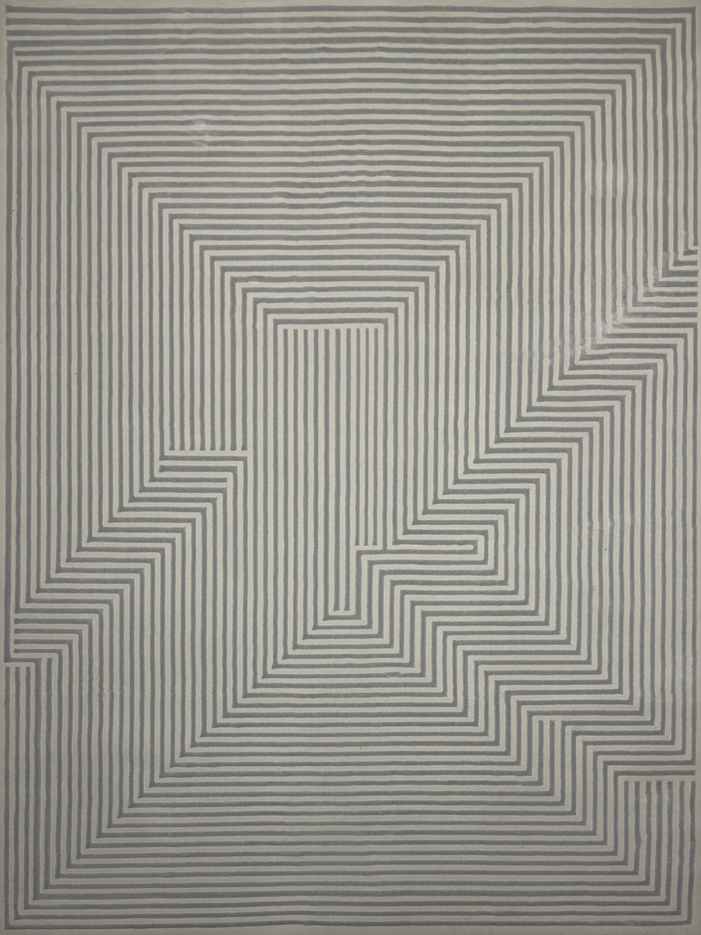 Modern Contemporary Rug - 5 x 7 ft